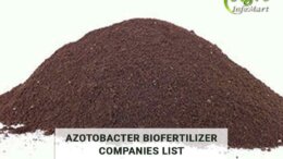 Azotobacter Biofertilizer manufacturers Companies In India