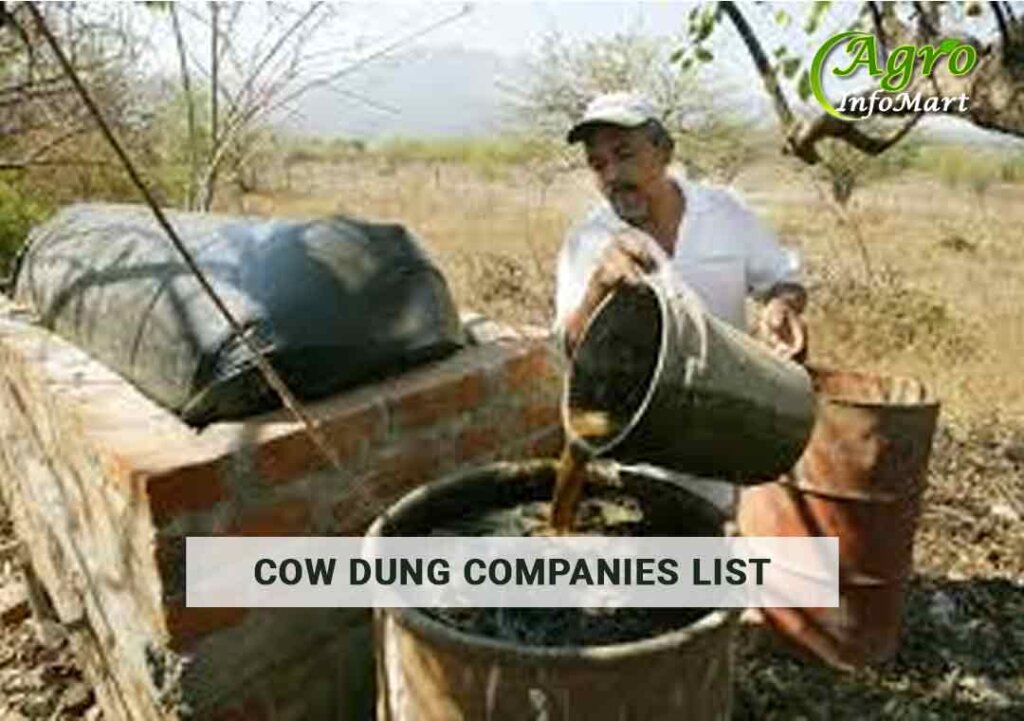 High Quality  Cow Dung Suppliers Companies In India