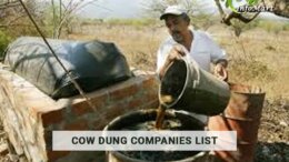 High Quality Cow Dung Suppliers Companies In India