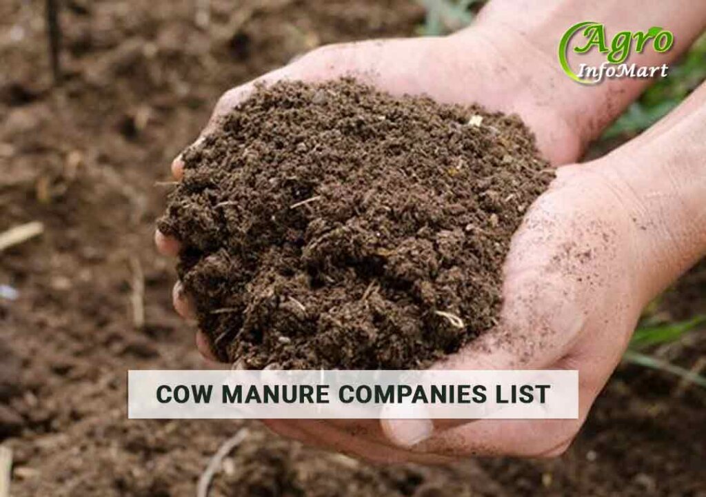 Cow Manure Manufacturers Companies In India