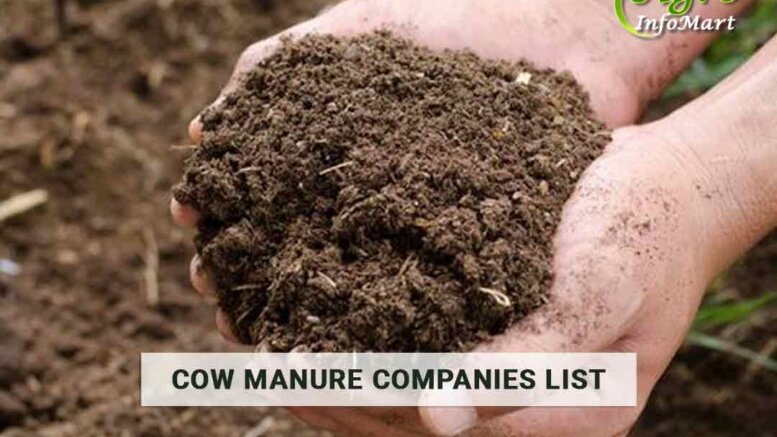 Cow Manure Manufacturers Companies In India