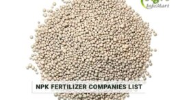 Npk Fertilizer Manufacturers Companies In India
