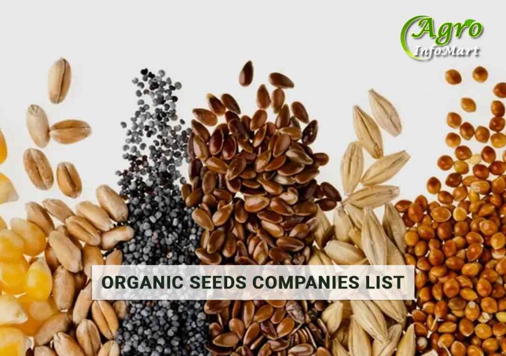 Organic seeds Manufacturers Companies In India