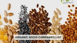 Organic seeds Manufacturers Companies In India