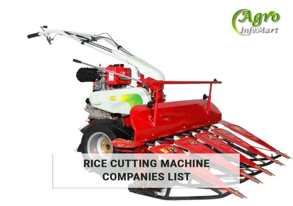 Rice Cutting Machine Manufacturers Companies In India