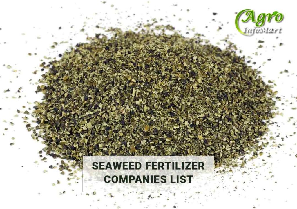 Seaweed Fertilizer Manufacturers Companies In India