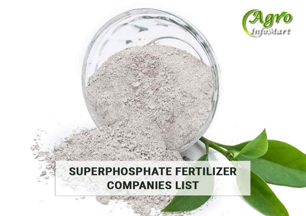 superphosphate fertilizer Manufacturers Companies In India