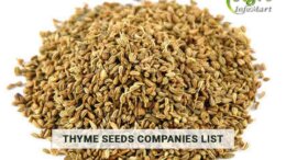 Thyme Seeds Manufacturers Companies In India