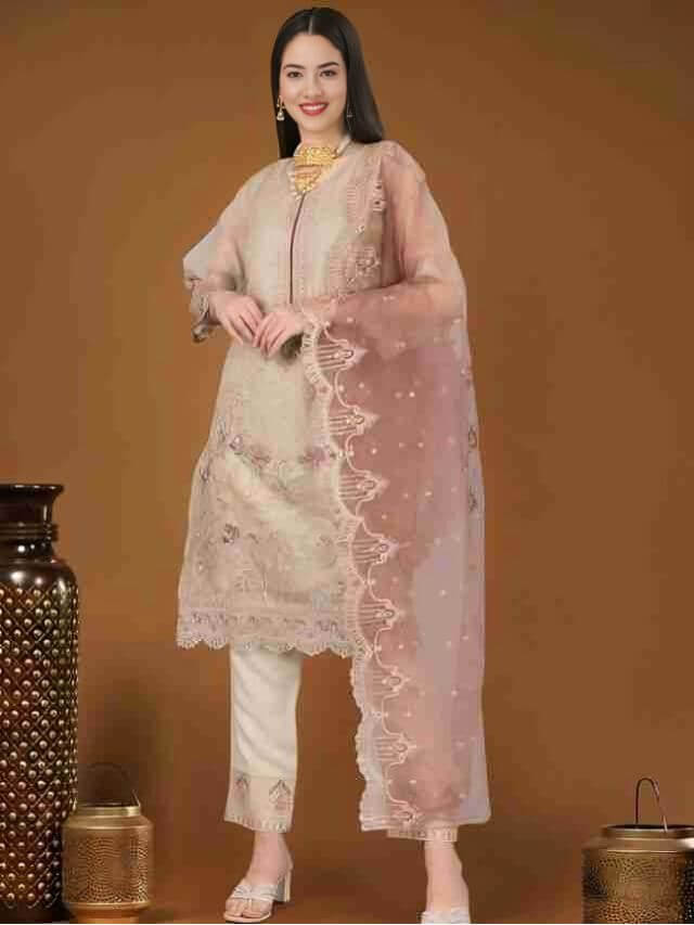 Designer Organza Salwar Suit From Surat